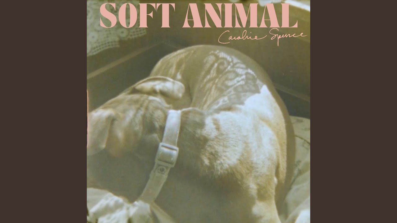 Soft Animal