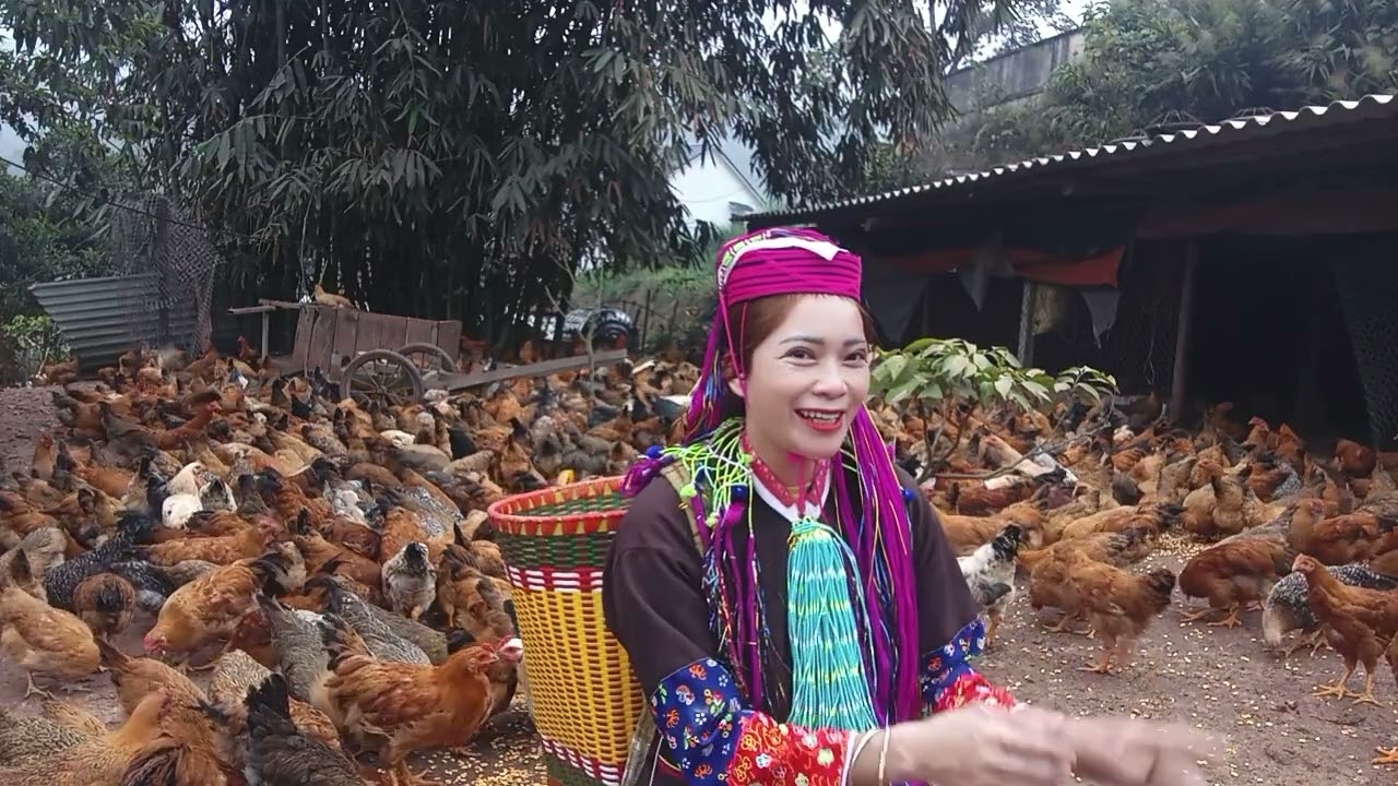17 tháng 2, 2026 tết