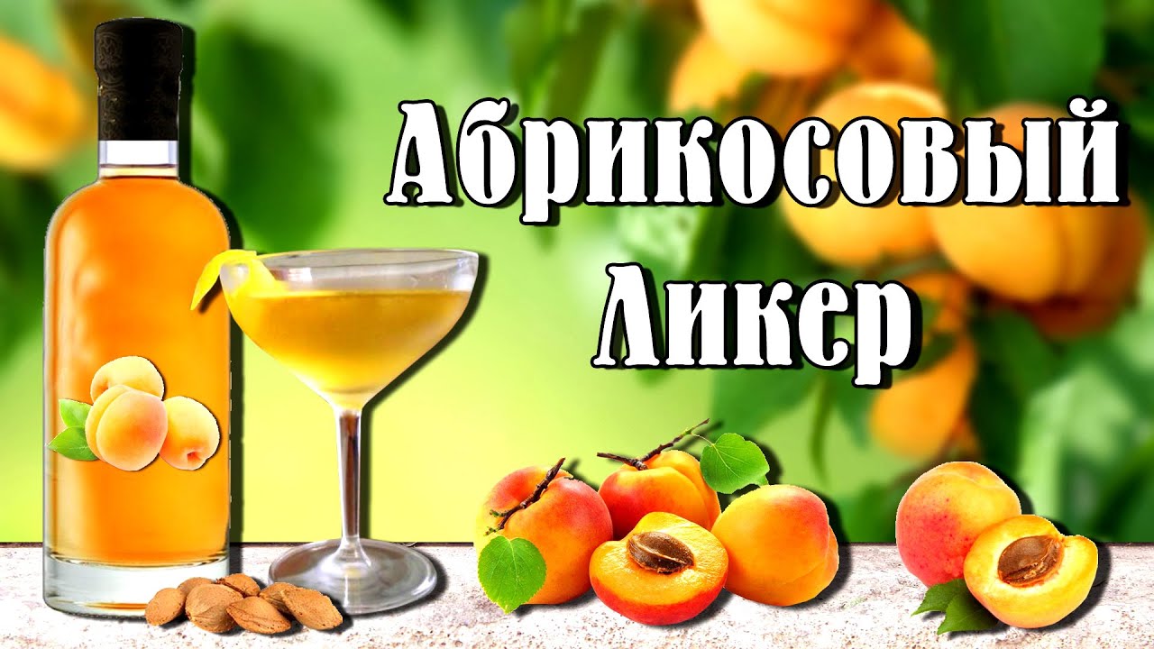 Абрикосовый ликер. Рецепт приготовления домашнего ликёра