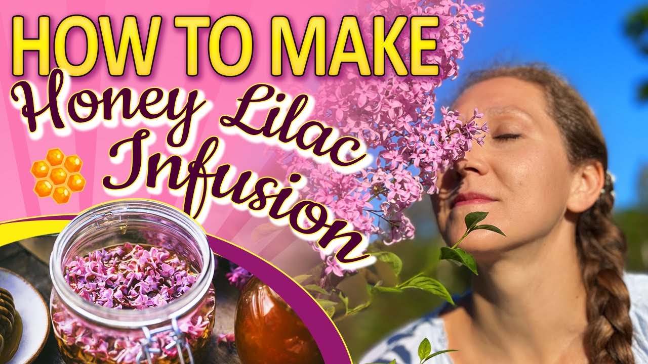 Unique Recipe: Lilac-Infused Honey Tutorial