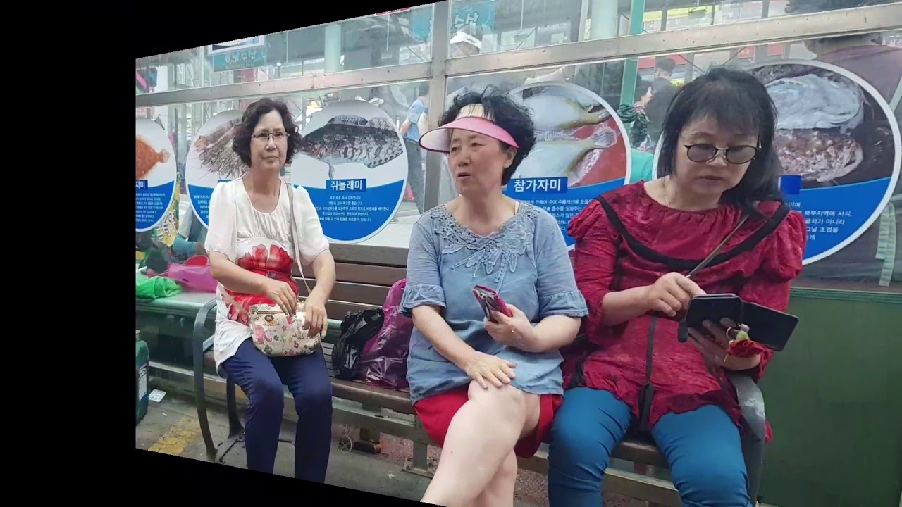 옥계 해수욕장(대전)7