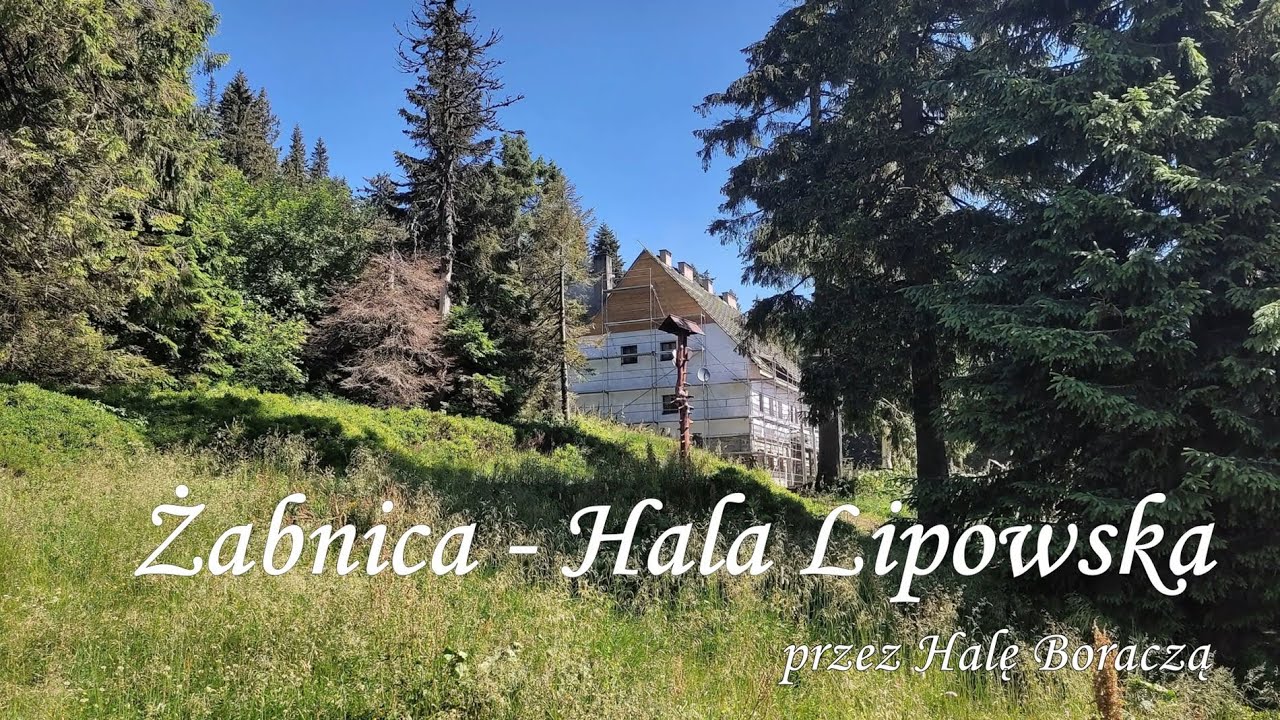 Żabnica Hala Lipowska przez Halę Boraczą 3 lipca 2022