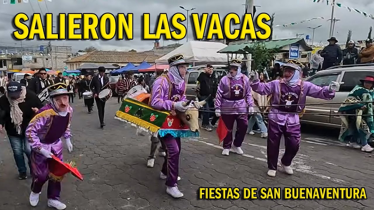 Entre VACAS LOCAS y Pólvora - FIESTAS DE SAN BUENAVENTURA