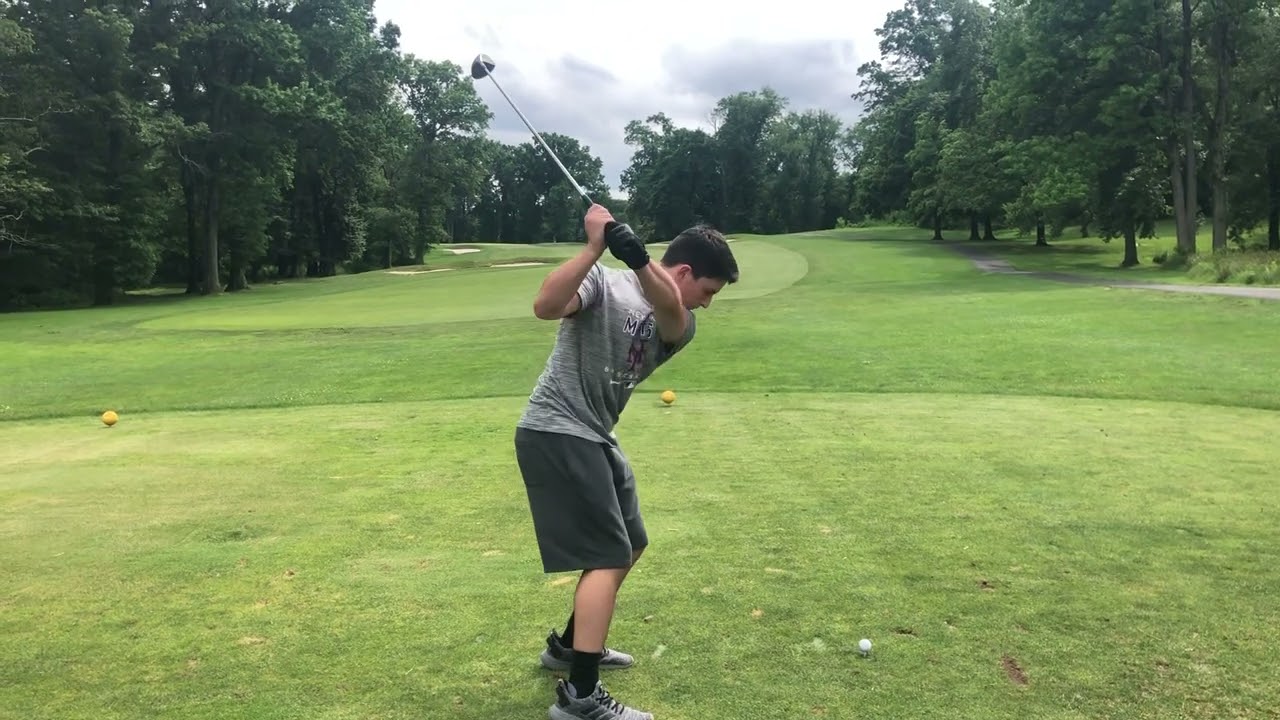 Boy hits bird with golf ball