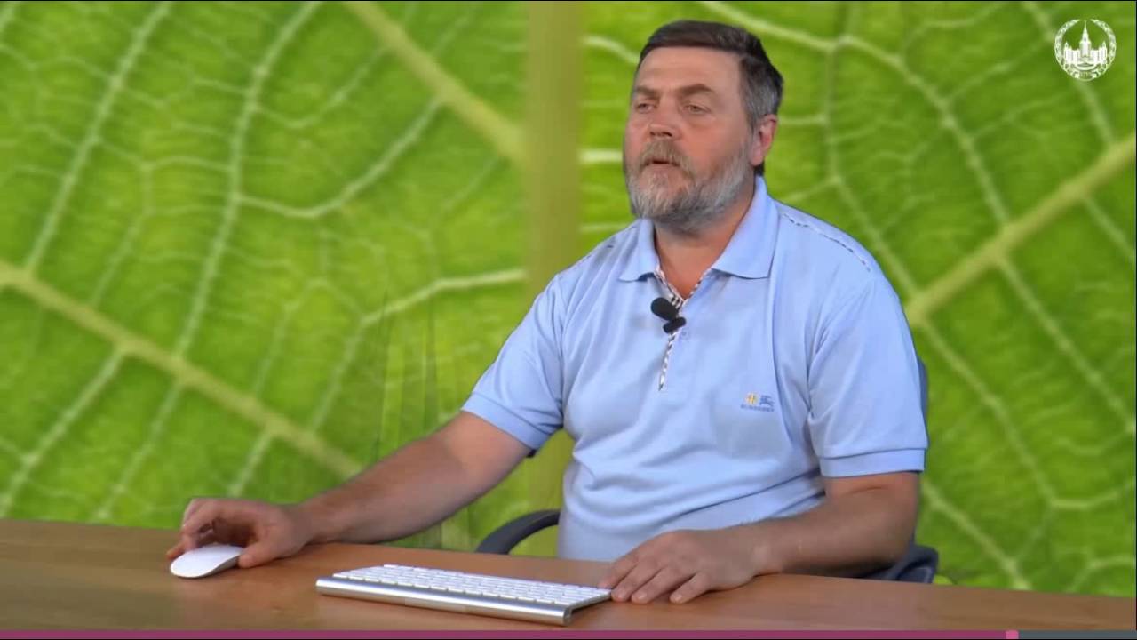 рубиско