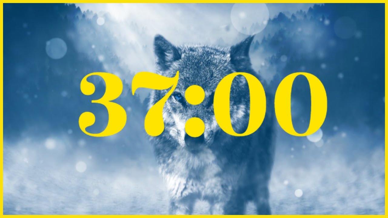 37 Minutes Timer ♦ Wolf