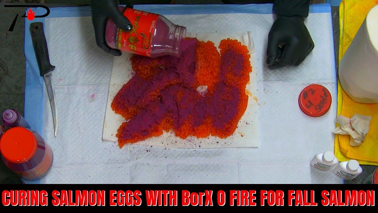 Засолка икры лосося с помощью BorX O Fire для осеннего лосося