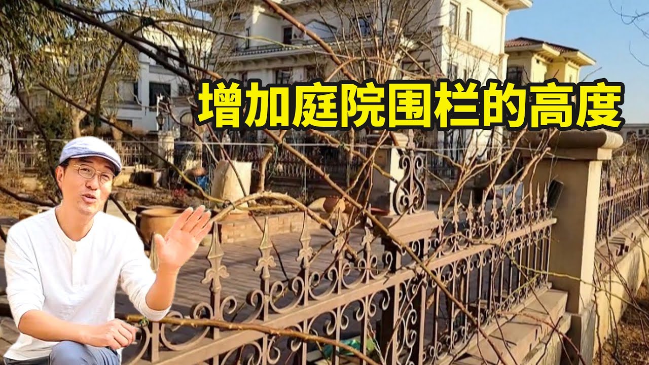 如何让我们的庭院围栏隐形增高？分享一个我从花友那里学到的方法！#courtyard #fence #height