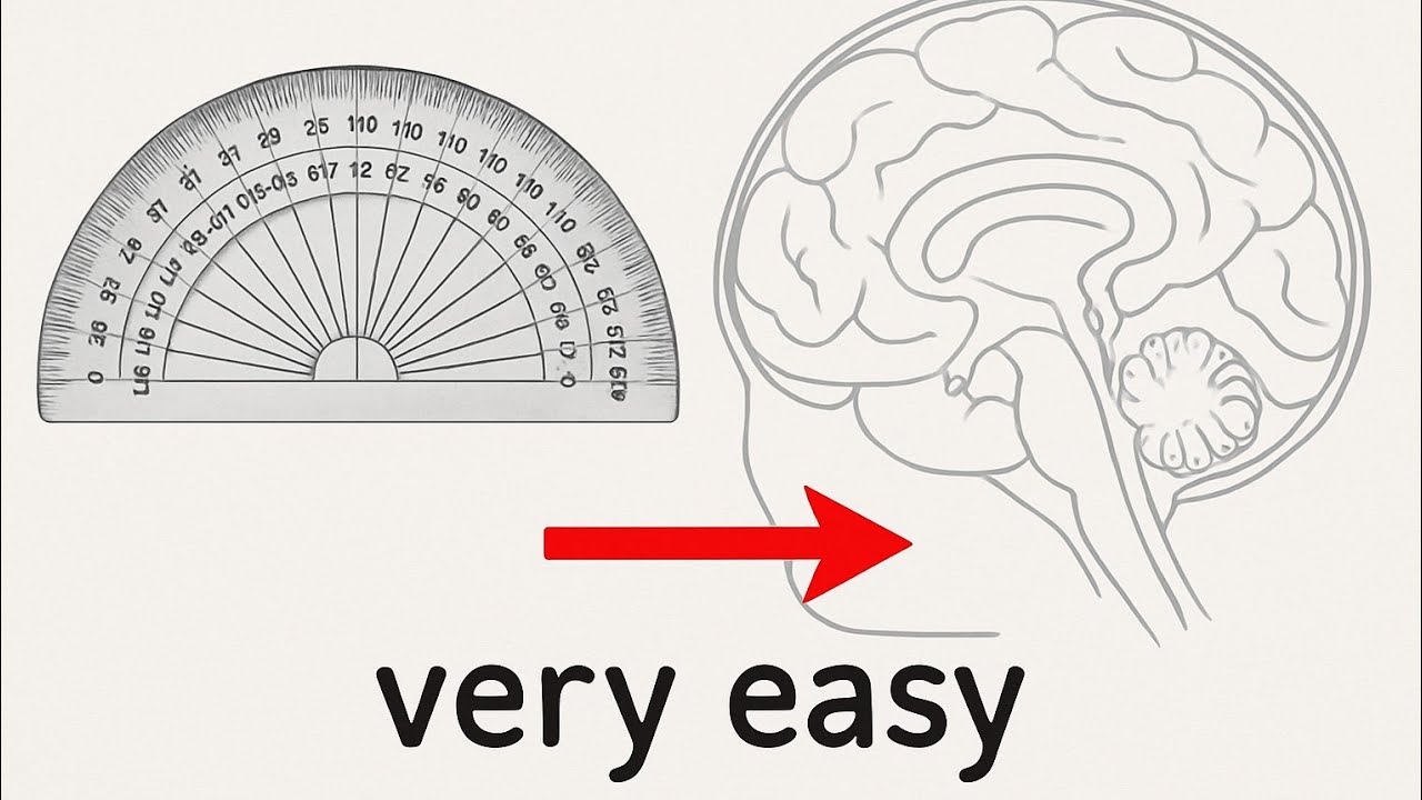 How to draw human brain diagram step by step | 10 class | easy way 