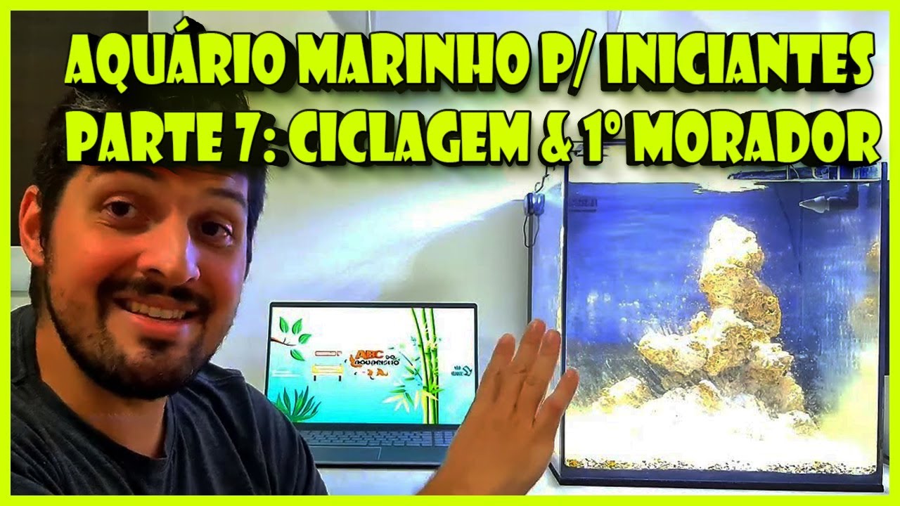AQUÁRIO MARINHO PARA INICIANTES (FIM DA CICLAGEM E PRIMEIROS HABITANTES - PARTE 7)