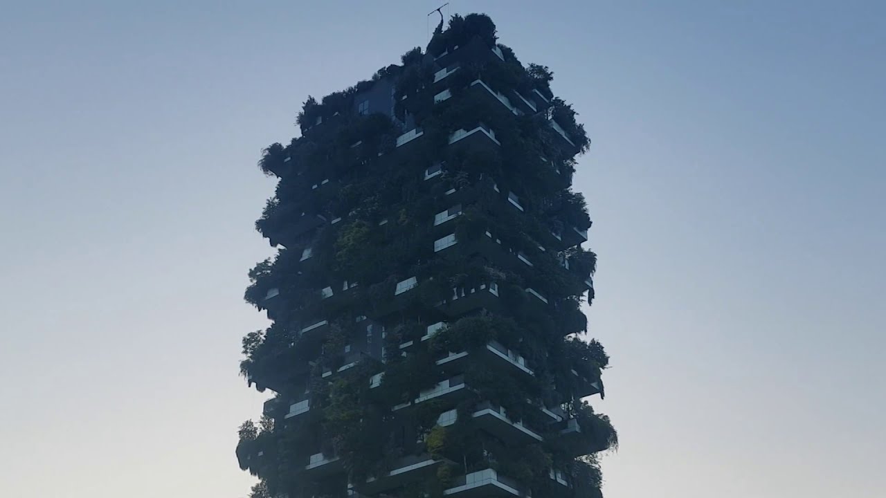 Milano, la Biblioteca degli Alberi ed il Bosco Verticale al tramonto ( Lombardia - Italy )
