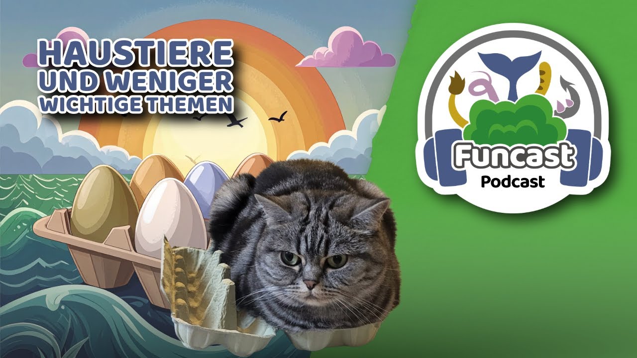 Neues Jahr, neue Pläne: BotC-Erweiterung, Messen & ehrlicher Rückblick - Funcast 118