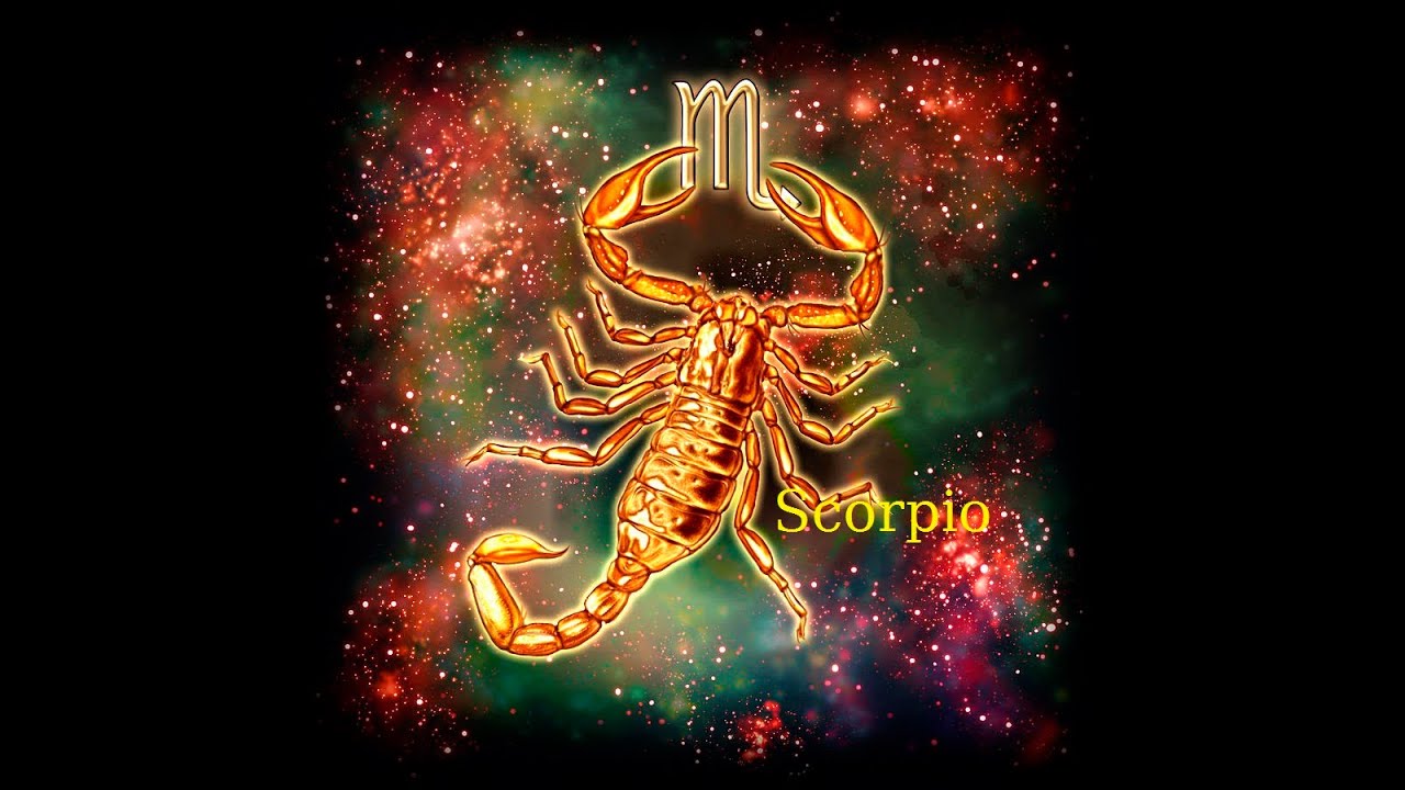 Scorpio ♏️ They still love you 😍 A chance to heal a broken heart