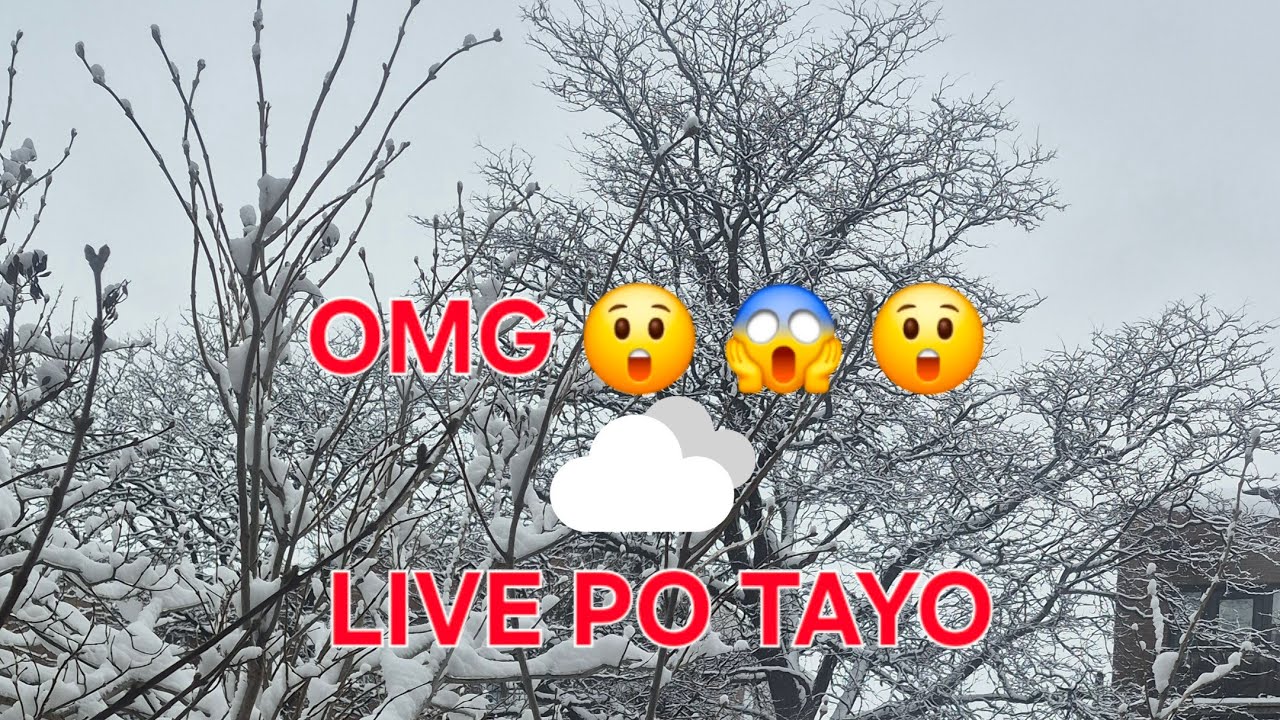 OMG 😲 😱 😲 what happened there's too much snow again