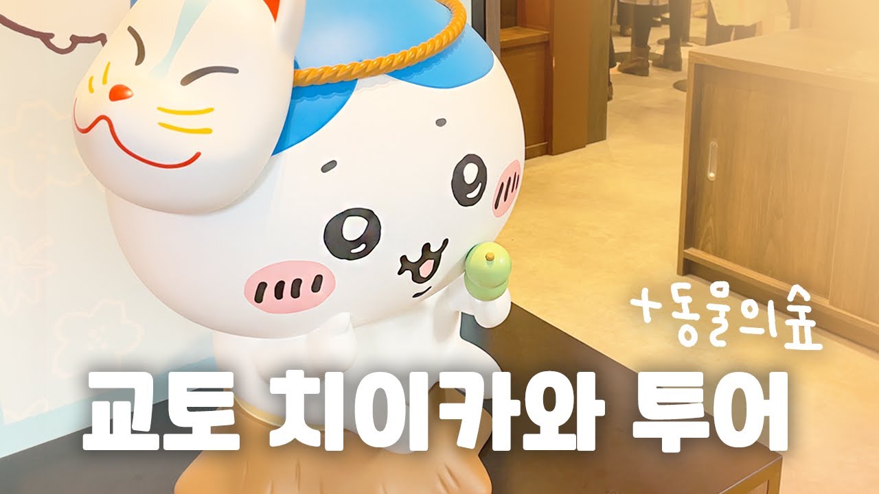 교토여행 치이카와 매장 + 콜라보 싹 다 보고옴👀  |  동물의숲 제일복권  |  일본 치이카와 덕질여행