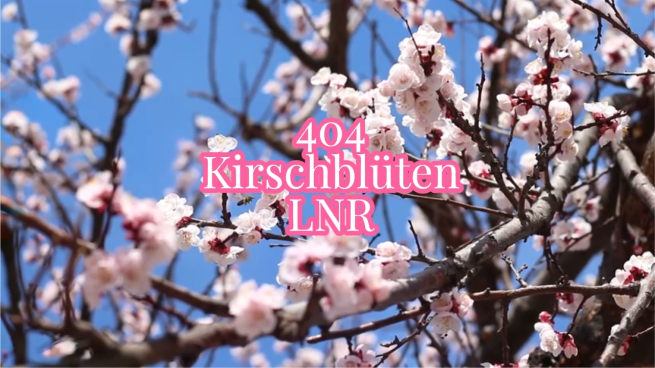 404-LNR KIRSCHBL&Uuml;TEN (Unplugged Acoustic Version) mit Lyrics