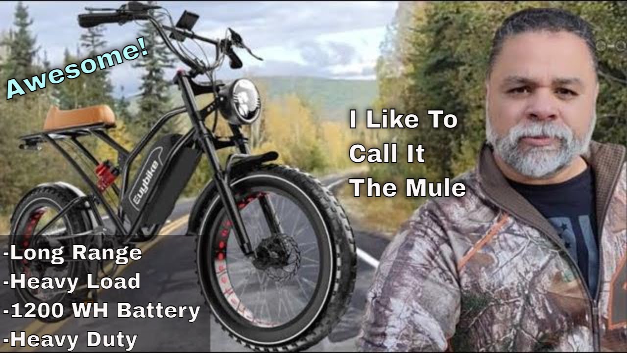 This E-bike Is Awesome! - The Euy Bike S4 Long Range Moped-style Electric Bike