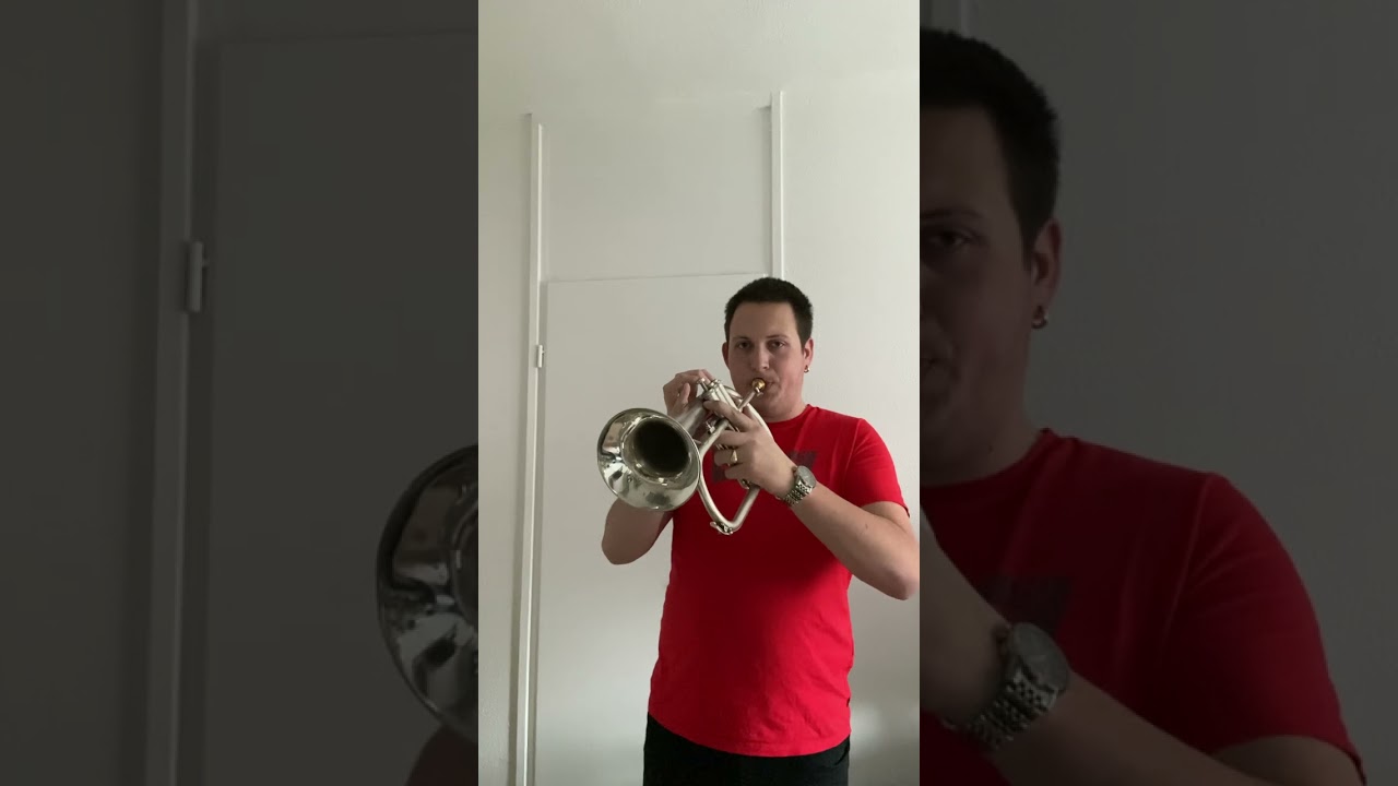 SOLD: Besson New Standard Bb Flugelhorn 2
