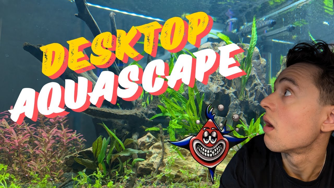 Easy CO2 injection on a Stunning Planted Desktop Aquarium