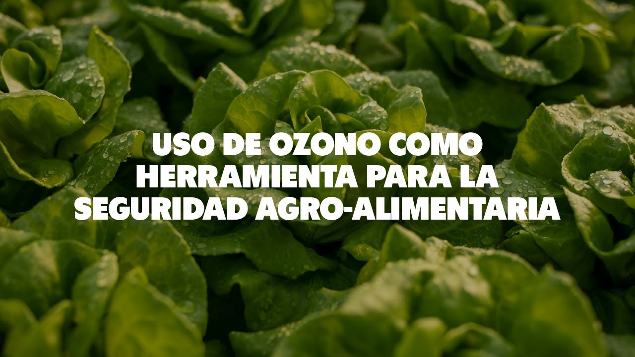 📌  ‘Uso de ozono como herramienta para la seguridad agro-alimentaria’
