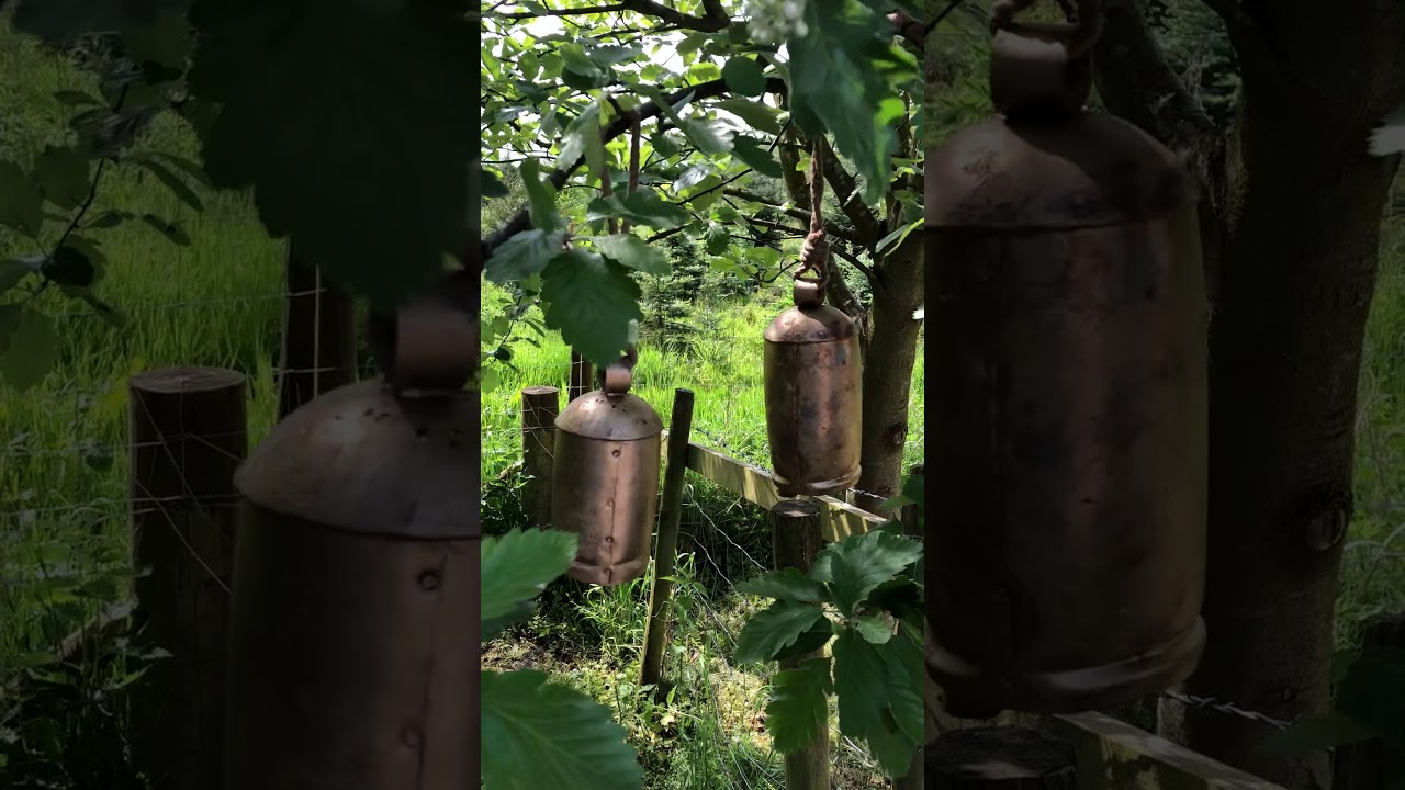 Rustic Bells