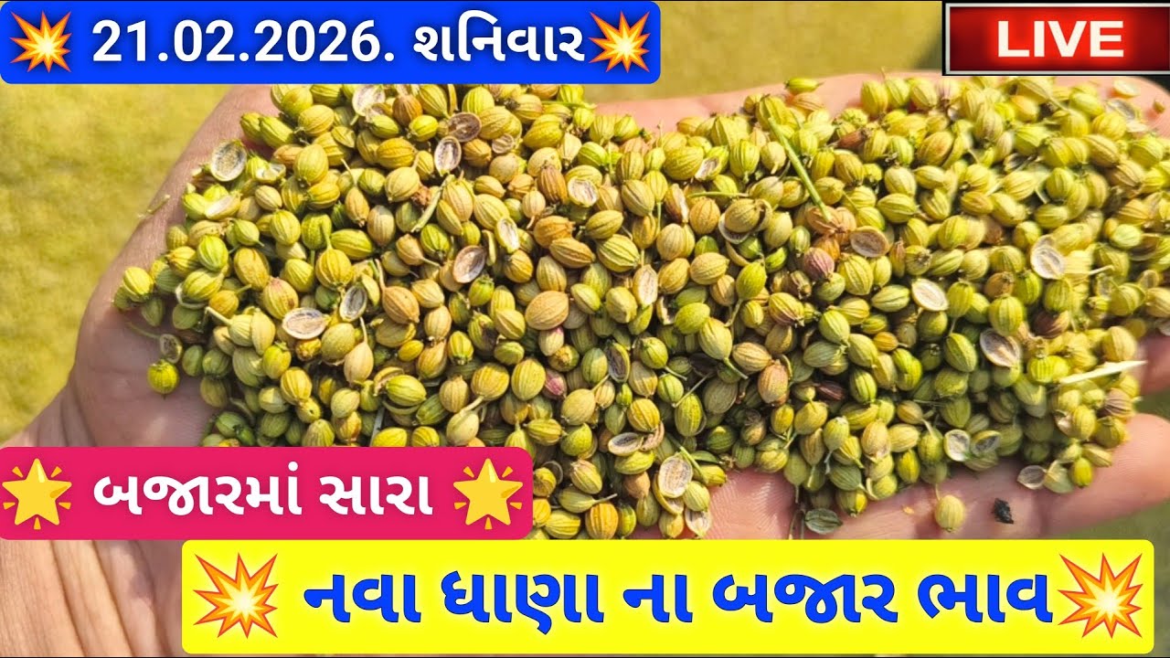 🔴live નવા ધાણા ના બજાર ભાવ આજના જસદણ માર્કેટિંગ યાર્ડ, jasdan apmc price today,February 21, 2026