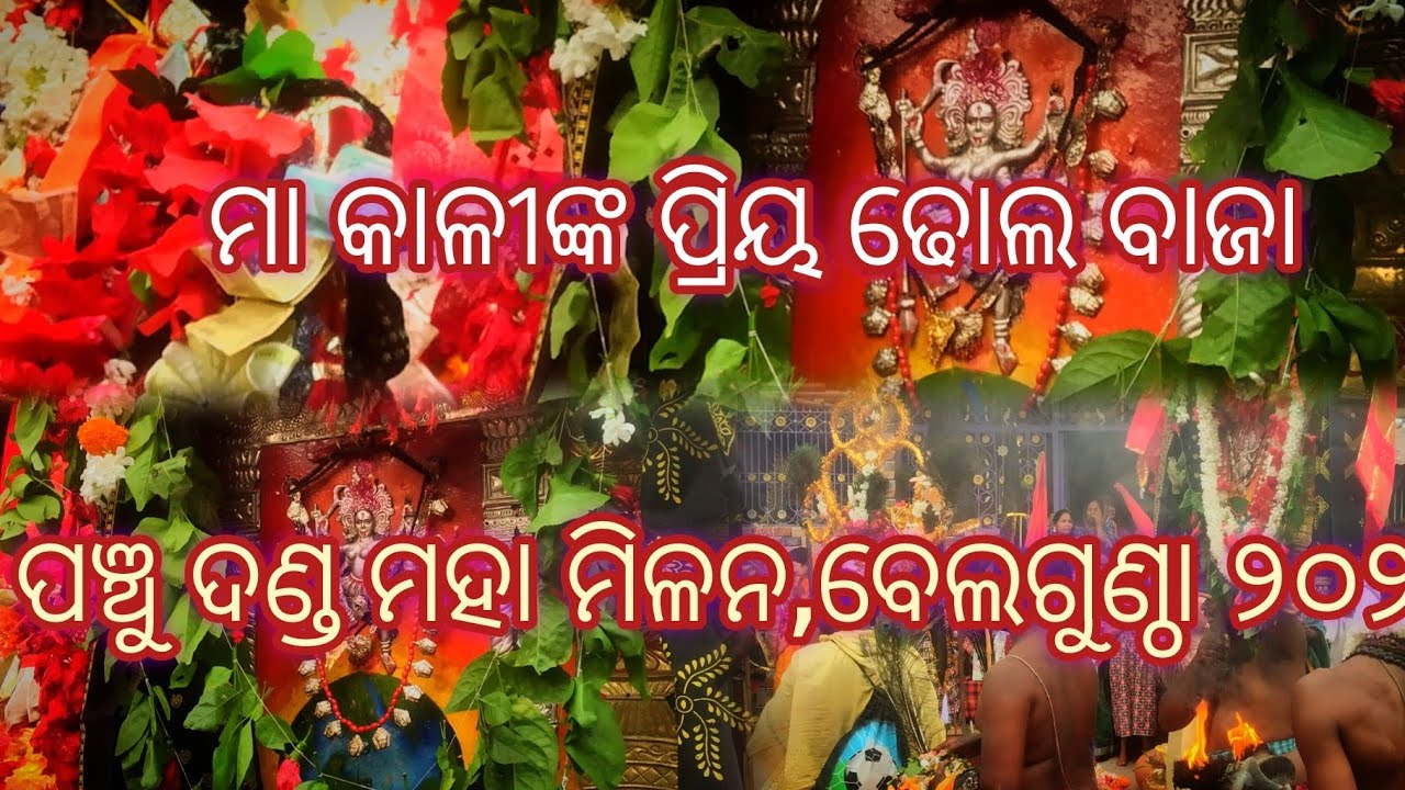 Bellaguntha Danda Nacha|| Panchu Danda Sasan Sahi Maha Milana #trending #dandanacha 