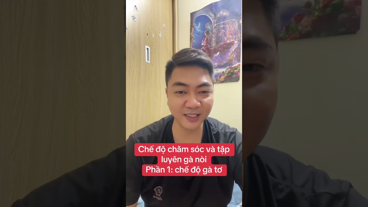 Chế độ chăm sóc gà chiến. Phần 1: chế độ gà tơ (chia sẻ của Pb & Toptop Shop Tuấn Hà Đông)
