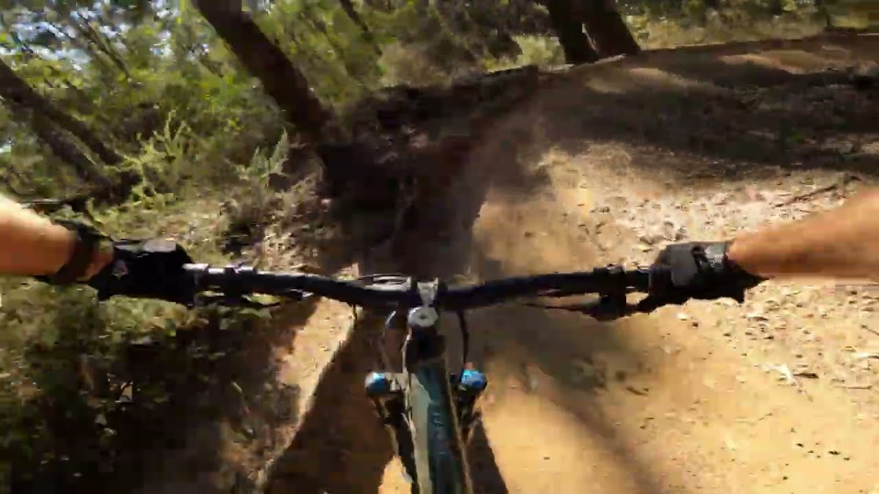 Whipsnake, Kombi, Ironbark - Samford Conservation area. I love these trails