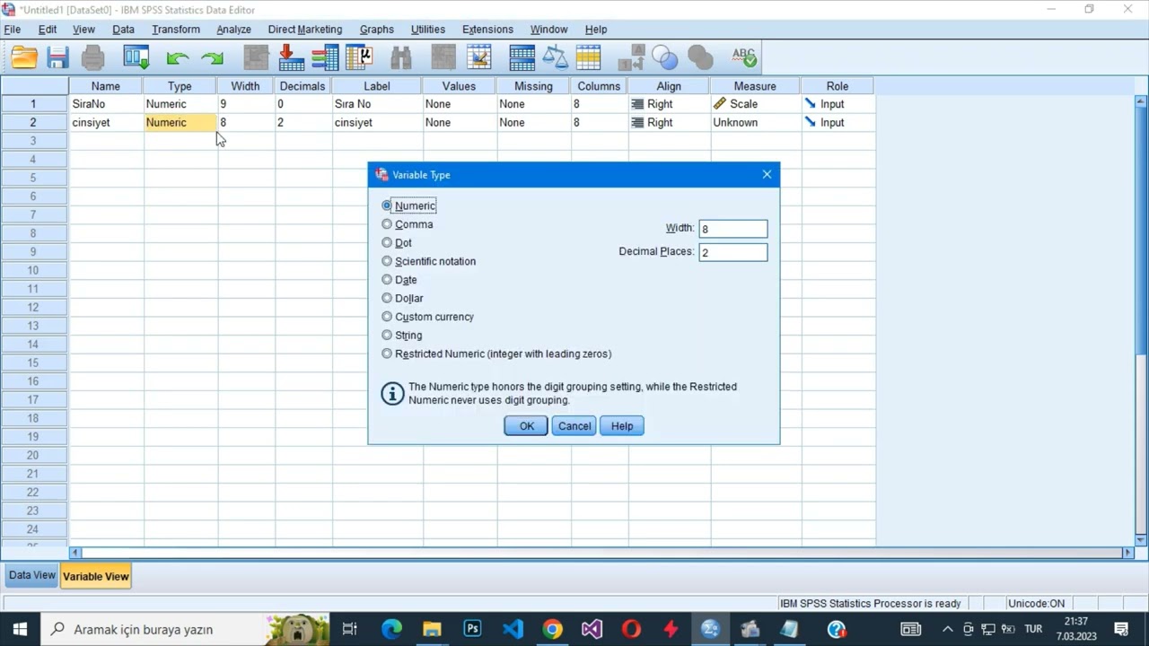 IBM SPSS Programı Aray&uuml;z&uuml;