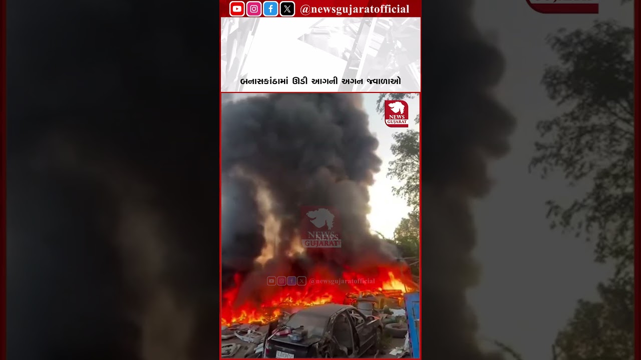 Banaskantha Fire | વડગામમાં ભંગારના ગોડાઉનમાં ભીષણ આગ! સામાન બળીને ખાક | Gujarat News