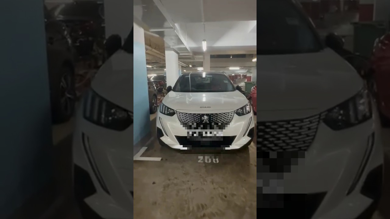 The white Peugeot 2008—French flair in every curve. Hot or not?