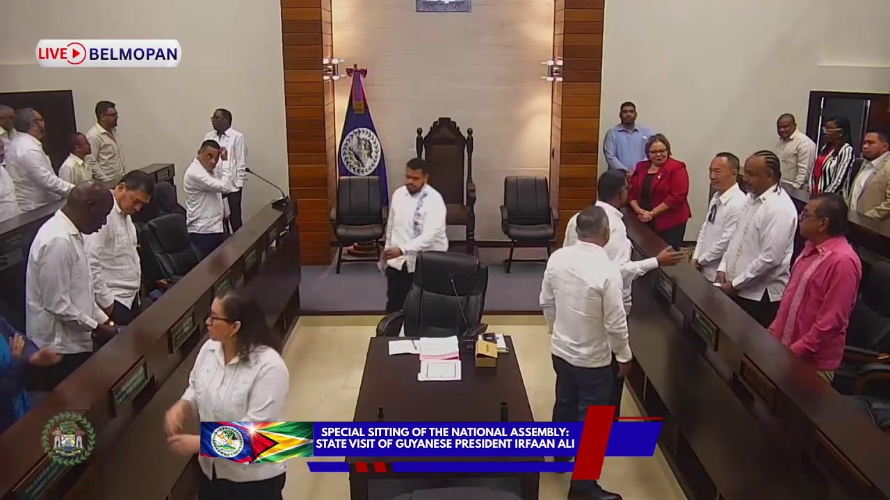 Joint Sitting of the National Assembly