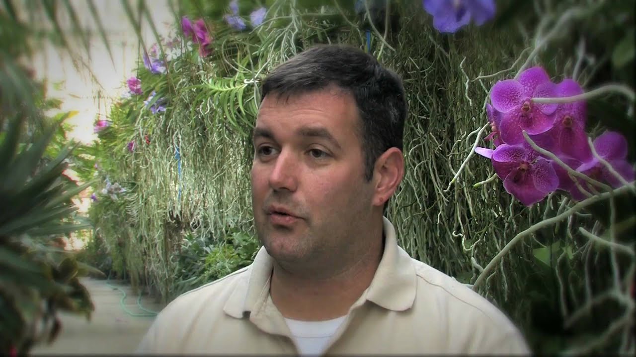 Meet Marc: About the Show