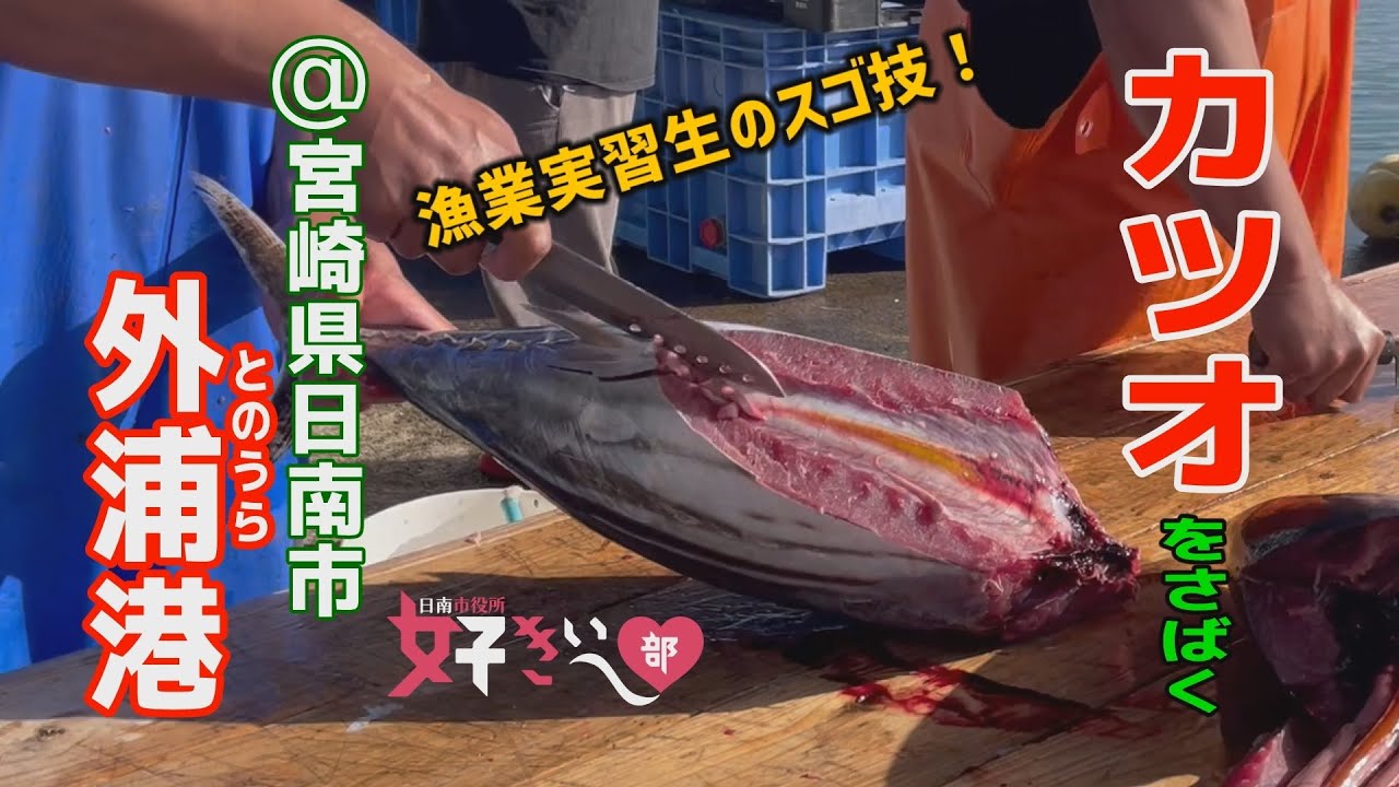 外浦のカツオ船が好きぃ～💖