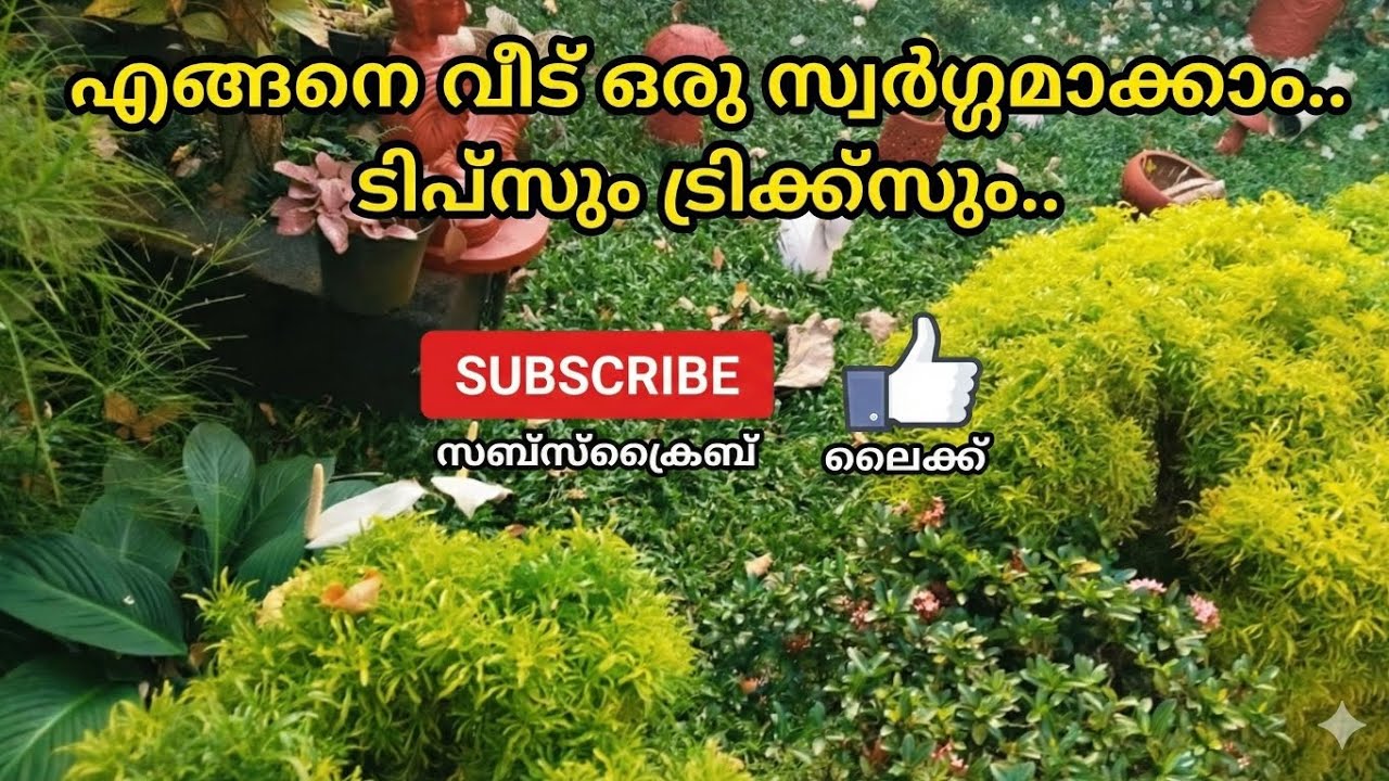 ഹോം ഗാർഡനിങ്ങ്....❤️