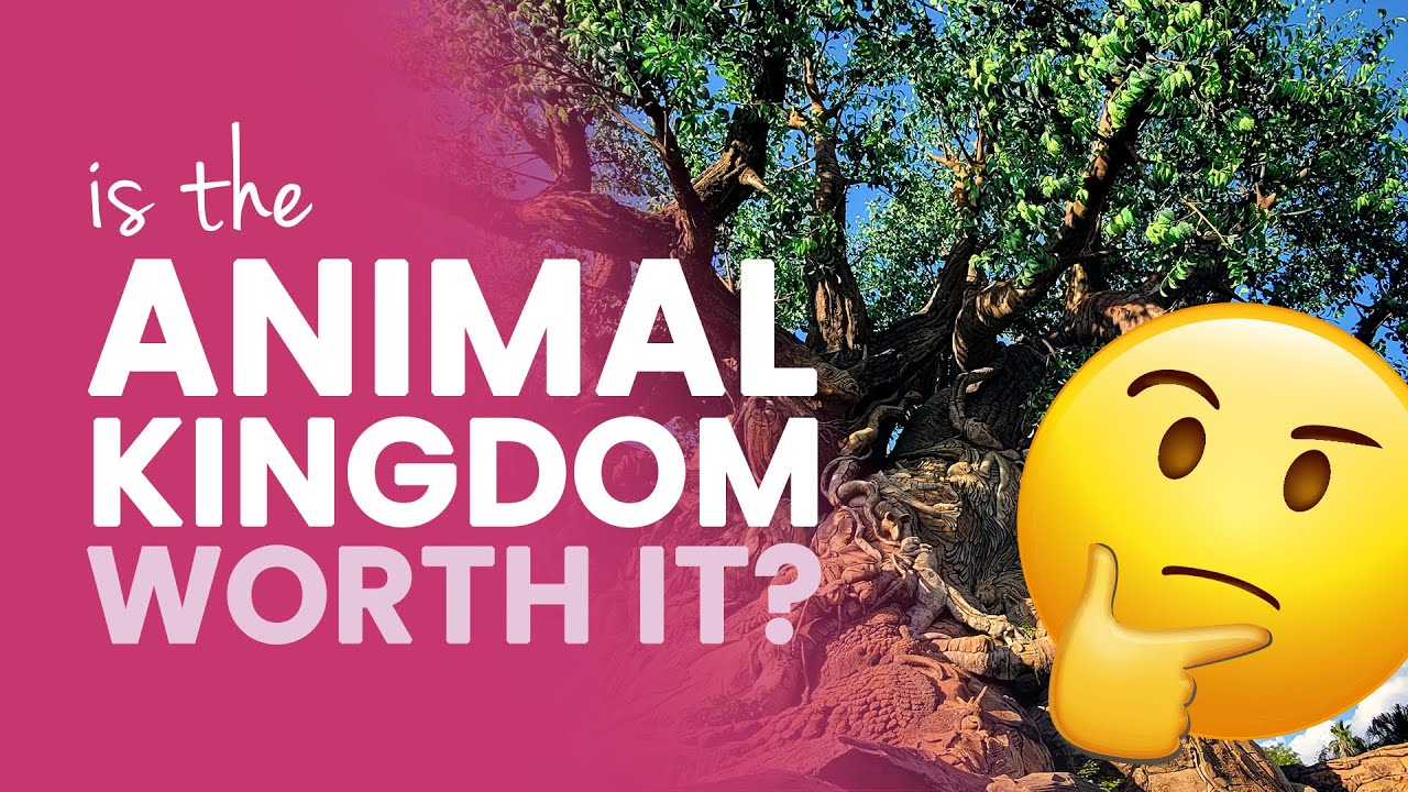 Is Animal Kingdom Worth It? 7 Best Parts, What To Consider