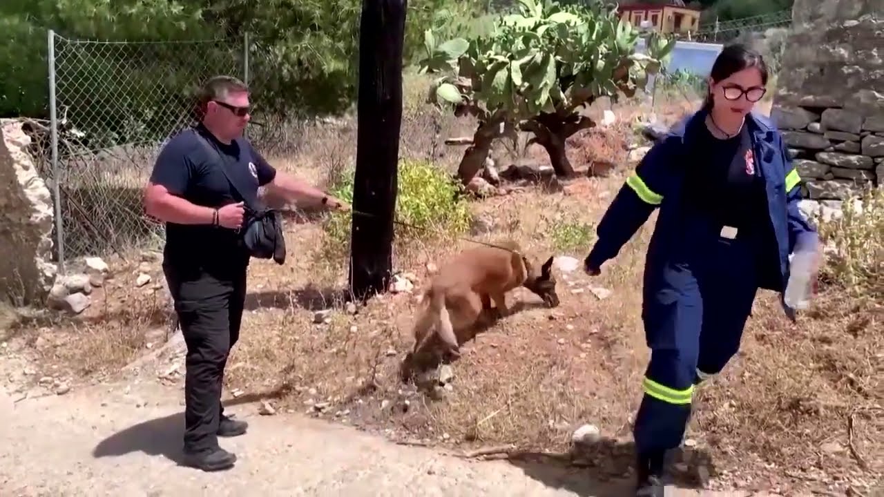 Another tourist found dead in Greece amid heat wave | REUTERS