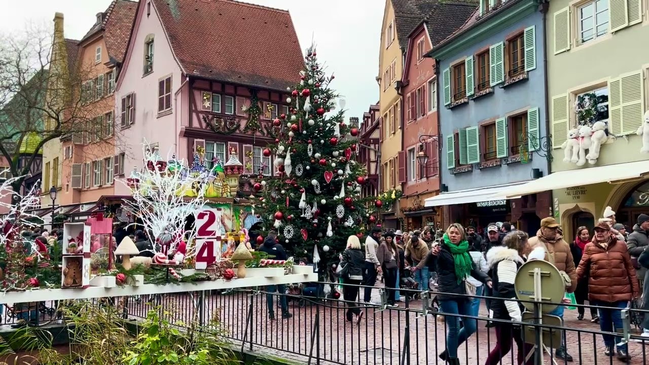 Colmar MAGICAL Christmas Tree plaza, Holiday Vibes 🎄 Cozy ambience music (Study Relax & Sleep)