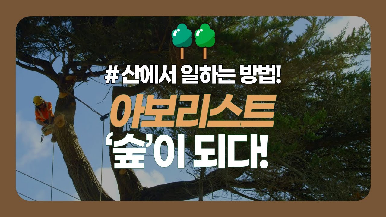 [#숲에서 일하는 방법] 아보리스트, 숲이 되다🌲