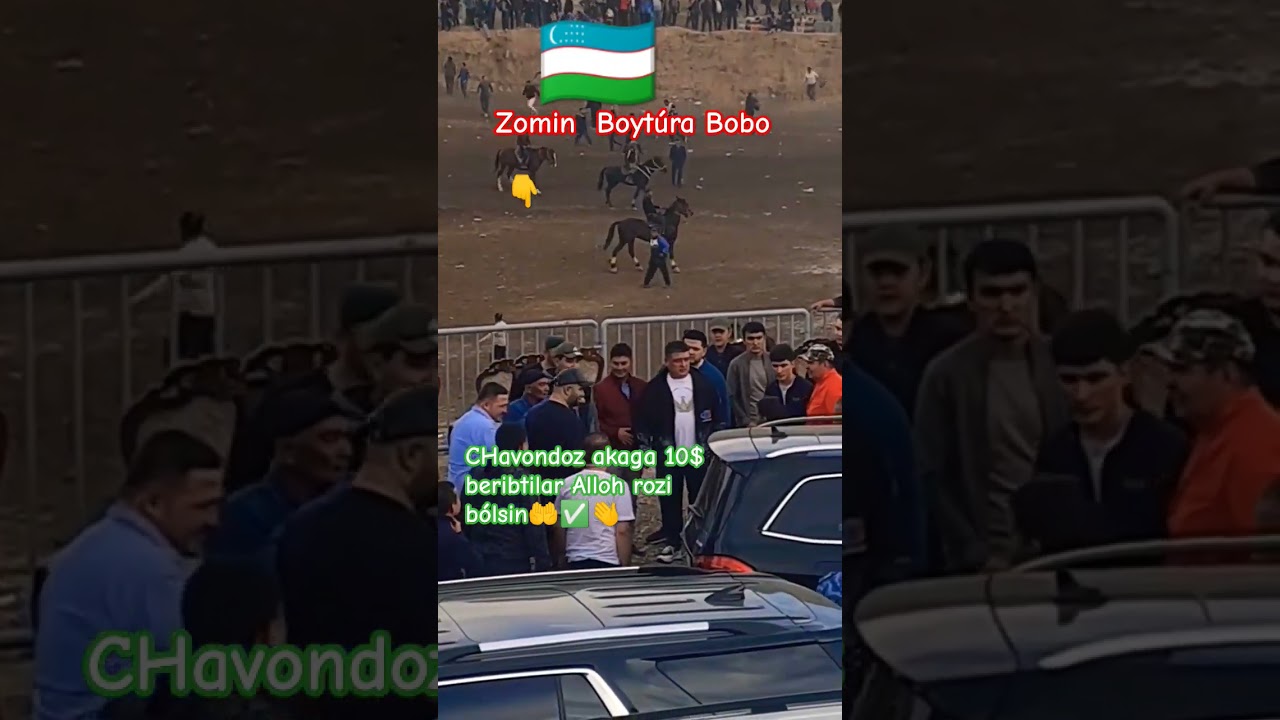 JIZZAX ZOMINDA CHEPEYANAT K&Oacute;PKARIDA ZOMIN BOYTOʻRA BOBO CHAVONDOZ AKAGA 10$ BERIPTILAR👏👍✅#zomin