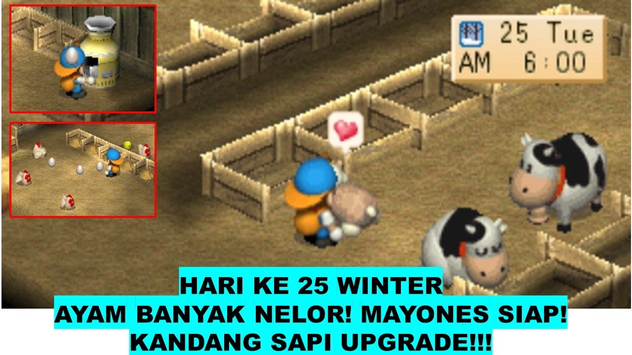 HARVEST MOON BACK TO NATURE HARI KE 25 WINTER KANDANG UPGRADE AYAM MULAI NELOR