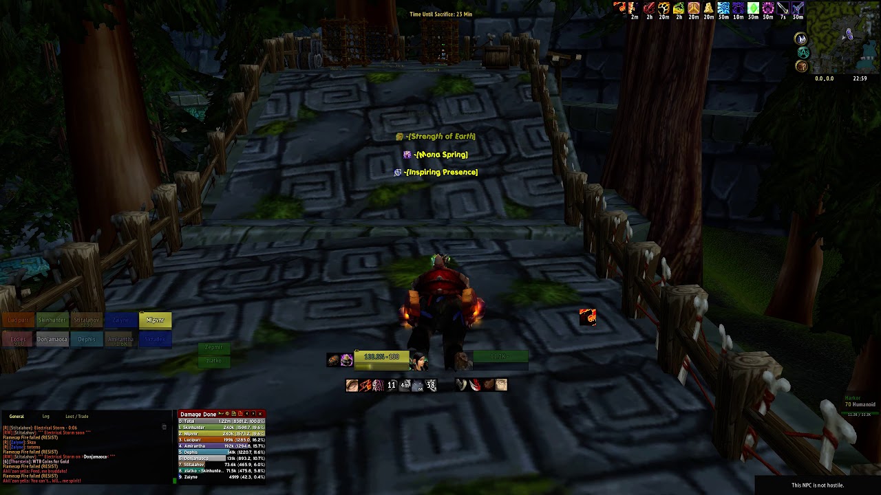 FULL ZUL'AMAN RUN - EASY 4 CHESTS AND BIG DPS (Rogue PoV) | Endless WoW TBC CLASSIC