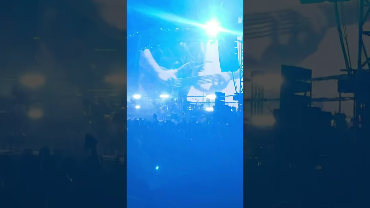 Rebelution Live @ Reggae Rise Up in Las Vegas 🎸@ReggaeRiseUpTV @RebelutionMusic