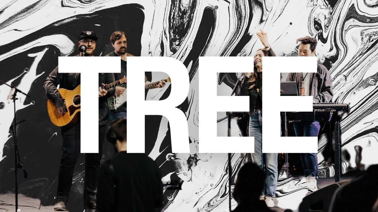 Tree - Justin Rizzo (Live Worship)