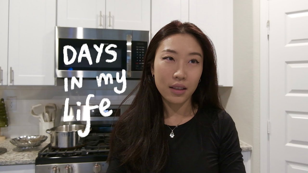 Embark Dog DNA test, WFH days, new Chinese recipes | VLOG
