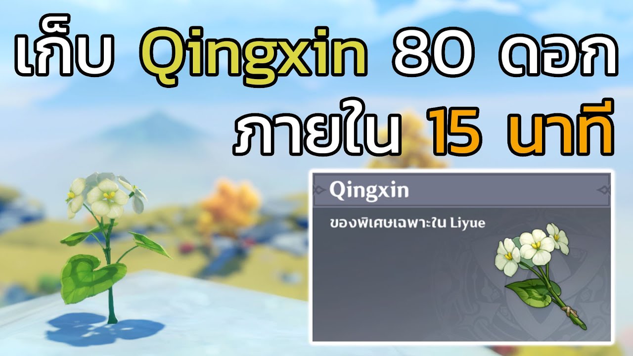 [Genshin impact] เก็บ Qingxin 80 ดอก ภายใน 15 นาที