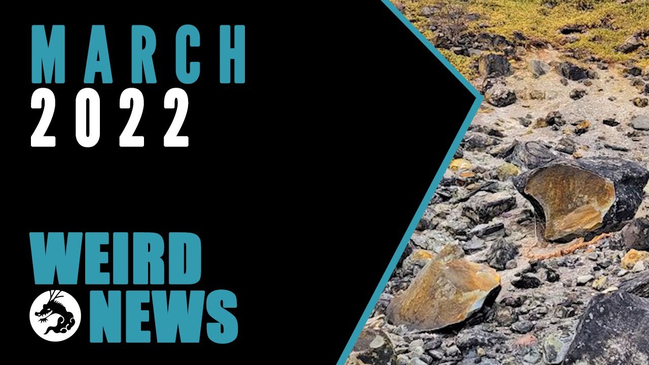 Weird, Bizarre, and Scary News From Japan March 2022