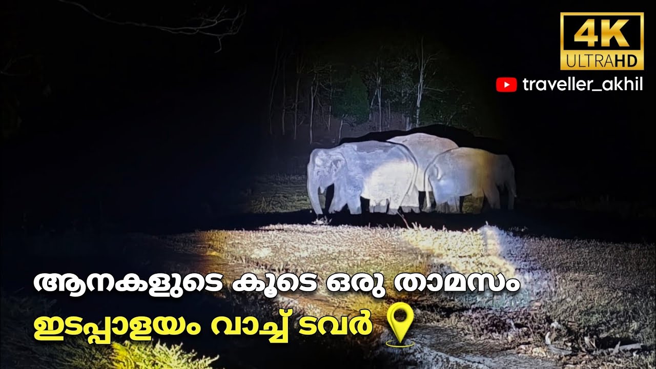കൊടുംകാടിനകത്തുള്ള വാച്ച് ടവറിൽ ഒരു താമസം | പെരിയാർ കടുവ സങ്കേതം | #periyartigerreserve 