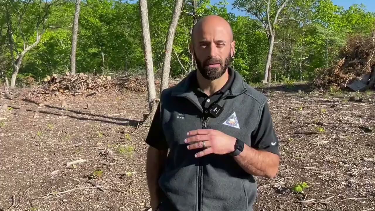 Habitat Hints: Removing Cedars